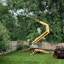 Best Artificial Turf Installation  in Forest Lake, IL