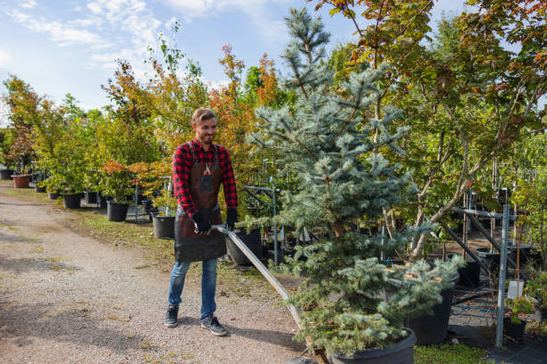 Best Weed Control  in Forest Lake, IL